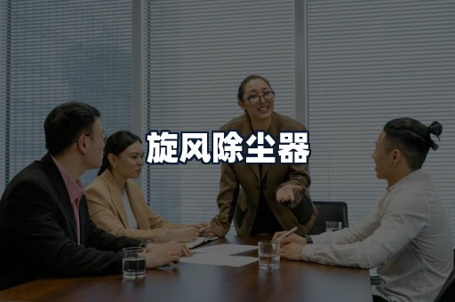 旋风除尘器
