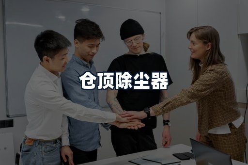 仓顶除尘器
